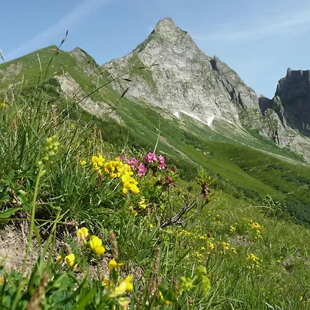Edelweiss Hoernerbahnen Von Mai Bis Oktober Frei Obermaiselstein Extérieur photo